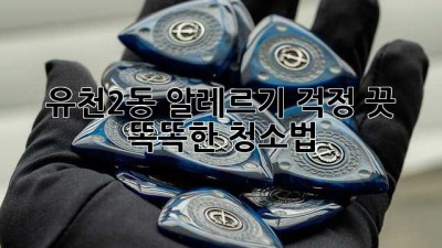 🏡 유천2동 알레르기 걱정 끗! 똑똑한 청소법 ✨