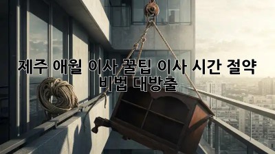 제주 애월 이사 꿀팁🍯 이사 시간 절약 비법 대방출!