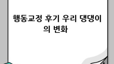 우리 강아지, 행복하게 행동교정 하기🐶